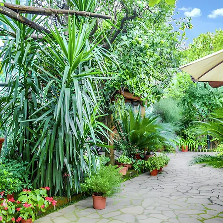 Charming With Sea View In - 35 Sqm + Terrace Διαμέρισμα Σορέντο